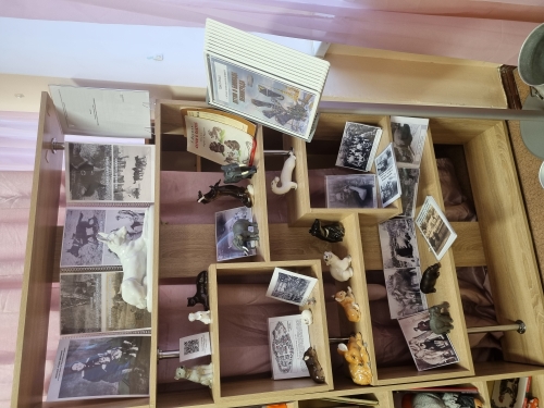 Ленинградский зоопарк