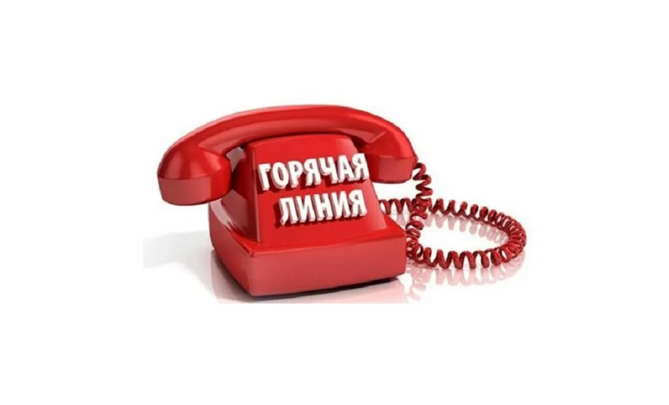 горячая линия